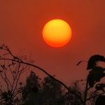 आज नयाँ वर्ष : हर्षोल्लासका साथ मनाइँदै