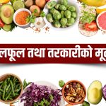 काठमाडौँमा आज तरकारी र फलफूलको थोक मूल्य प्रतिकेजी कति ?, हेर्नुस् मूल्यसूची