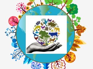 कृषि जैविक विविधता : भविष्यकालागि प्रकृतिको लुकेको सुपर पावर