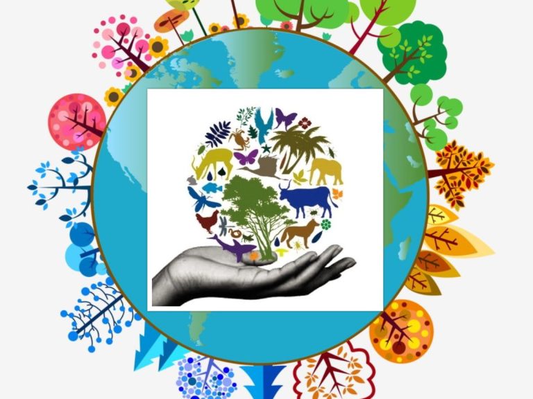 कृषि जैविक विविधता : भविष्यकालागि प्रकृतिको लुकेको सुपर पावर