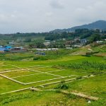 घरजग्गा कारोबारमा ‘कम्पनी अनिवार्य’: इजाजत लिनेको संख्या कति?