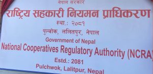 अनुमति नलिने सहकारीलाई १५ लाख जरिबानादेखि दर्ता खारेजीसम्म