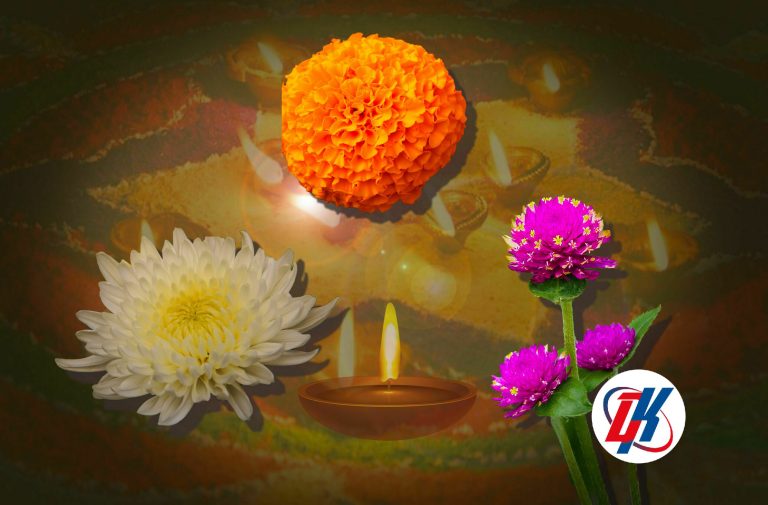 तिहारमा विशेष गरेर मखमली, सयपत्री र गोदावरी यसकारण ल्याईन्छ प्रयोगमा