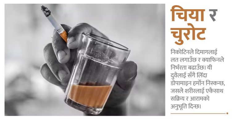 चिया र चुरोटको घातक जोडी