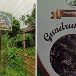 कानेपोखरीमा गुन्द्रुक क्रान्ति : ६० लाखमा खोलियो उद्योग