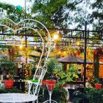 थालभित्रको कथा : वालनट बिस्ट्रोले सिकाउँदैछ ‘खानाको संस्कार’