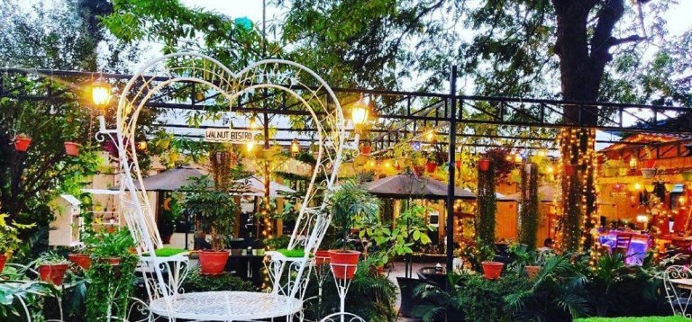 थालभित्रको कथा : वालनट बिस्ट्रोले सिकाउँदैछ ‘खानाको संस्कार’