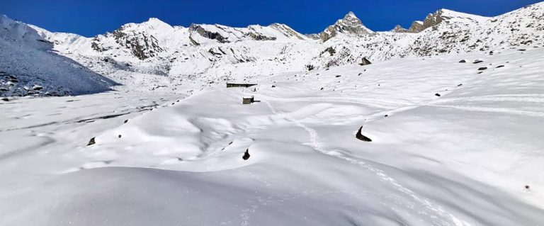 आरोहणमा गएका पाँच विदेशीसहित सातको मृत्यु