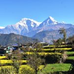 पर्यटकको पर्खाइमा तोरीपानी गाउँमा