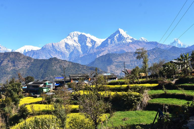 पर्यटकको पर्खाइमा तोरीपानी गाउँमा