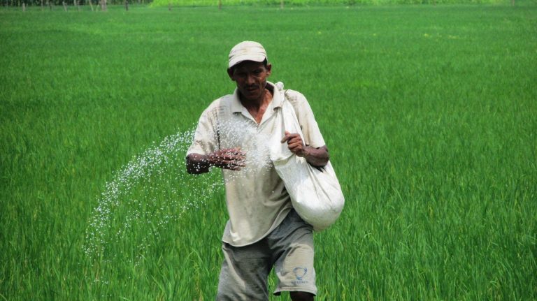 घोषणापत्रमा मलैमल, किसानलाई सास्ती पलैपल