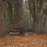 कञ्चनपुरमा डढेलोको जोखिम बढ्दो, पूर्व तयारी कमजोर