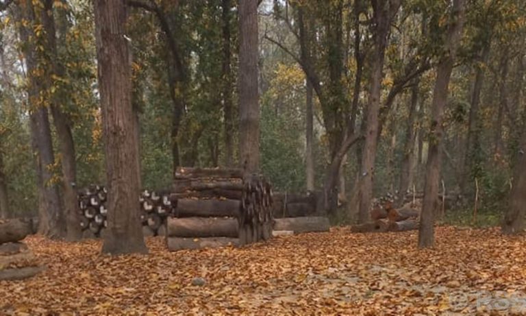 कञ्चनपुरमा डढेलोको जोखिम बढ्दो, पूर्व तयारी कमजोर