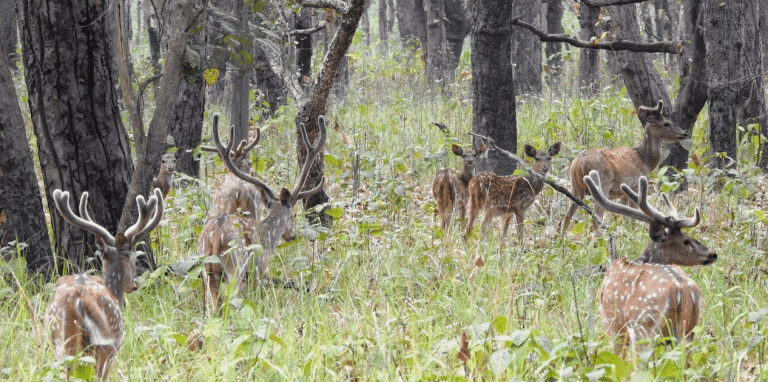 छ महिनामा दुई हजार छ सय पर्यटकले गरे शुक्लाफाँटा भ्रमण