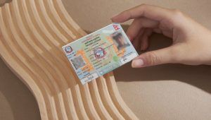 सरकारी संयन्त्र असफल हुँदा विद्यार्थीले बनाए लाइसेन्स प्रिन्ट भए/नभएको हेर्न सकिने वेबसाइट