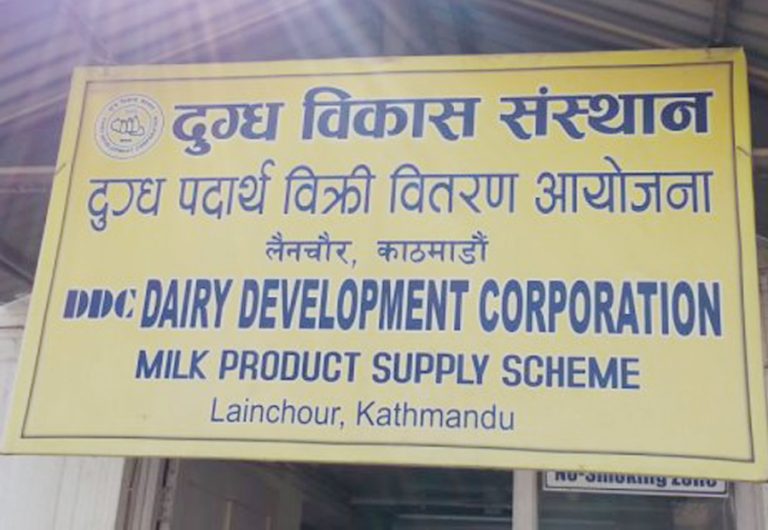 डिडीसीबाट अब किसानलाई दूधको दैनिक १ करोड भुक्तानी