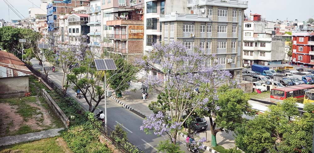 सिंहदरबारकै ४६ रोपनी जग्गा मिचियो! सडक विस्तारका नाममा कहाँ हरायो सरकारी भूमि?
