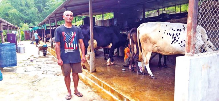 दुग्ध कोरिडोरको सपना