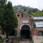 संरक्षणको पर्खाइमा फर्पिङ (तस्बिरहरू)
