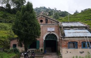 संरक्षणको पर्खाइमा फर्पिङ (तस्बिरहरू)