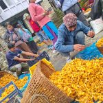 साप्ताहिक हाटमा फस्टाउँदै जङ्गली च्याउको कारोबार