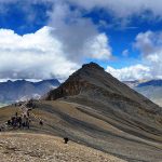 कर्णालीमा जडीबुटीबाट ४ करोड राजस्व, झ्याउदेखि यार्सासम्मको कारोबार